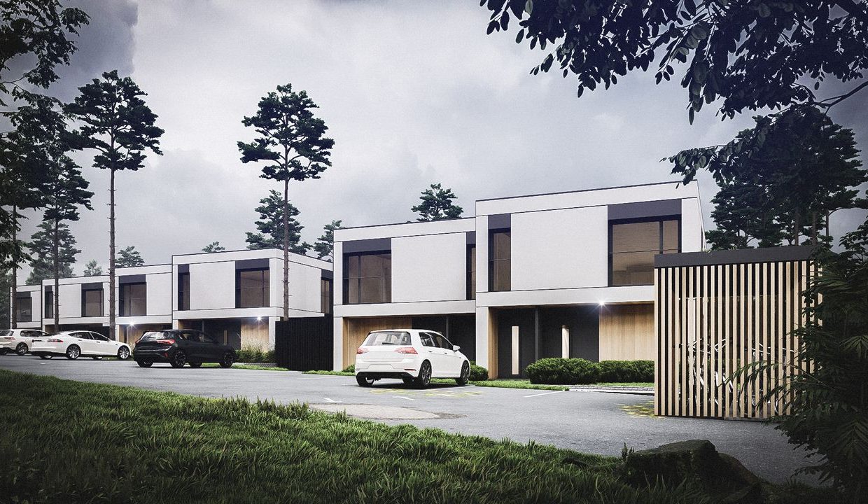 raciborskiegolodz_wiz1